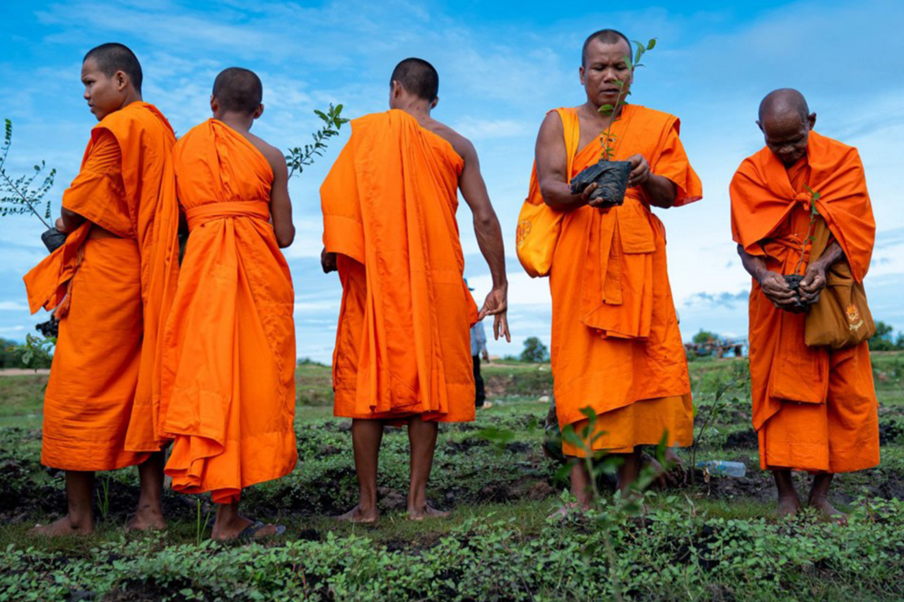 Monks participate in forest planting and conservation.