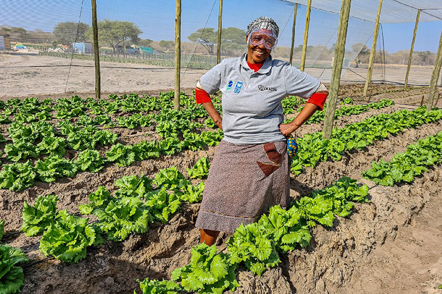 Woman stands in a lettuce farm.