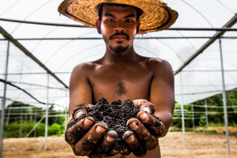 A man beneath a greenhouse roof holds out two handfuls of soil. 