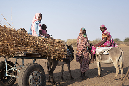 women with donkeys