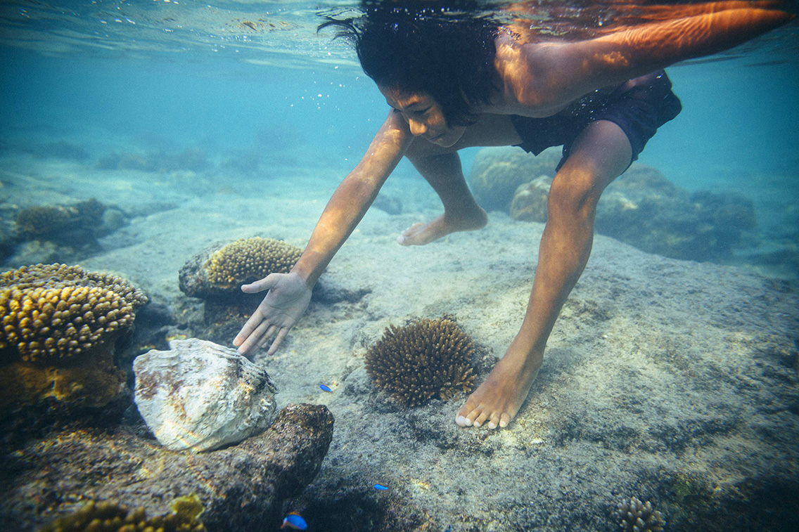 A boy underwater picking up a shell.