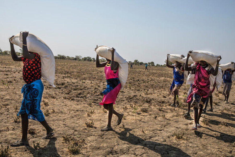 A group of people carry big sacks on their backs. 