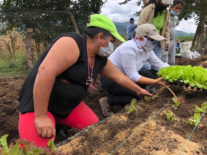 Las jornadas de trabajo colectivo instalaron una huerta comunitaria con hortalizas como lechuga, acelga, cebolla, coliflor, tomate y plantas aromáticas.