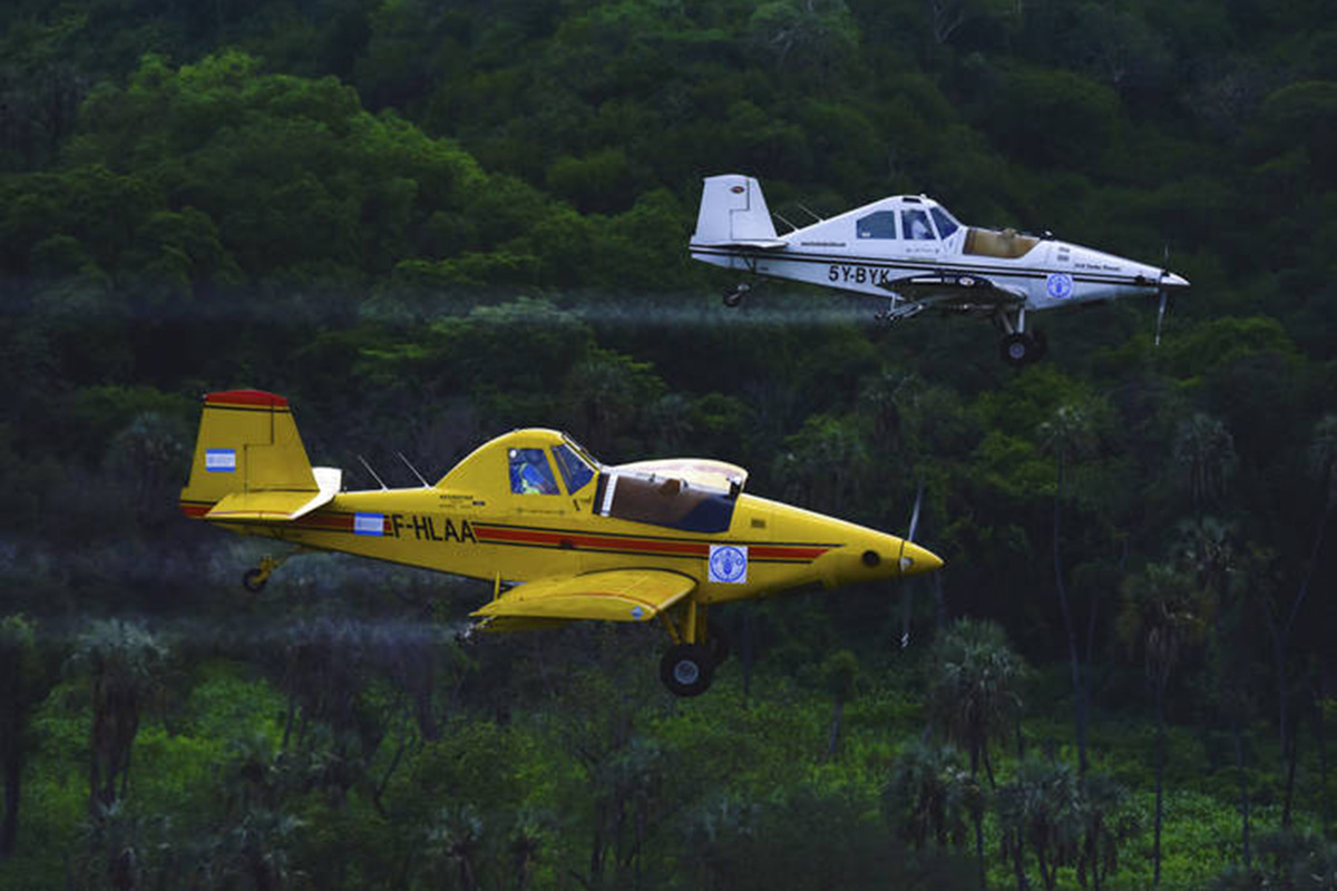 Two small planes fly close to the ground. 