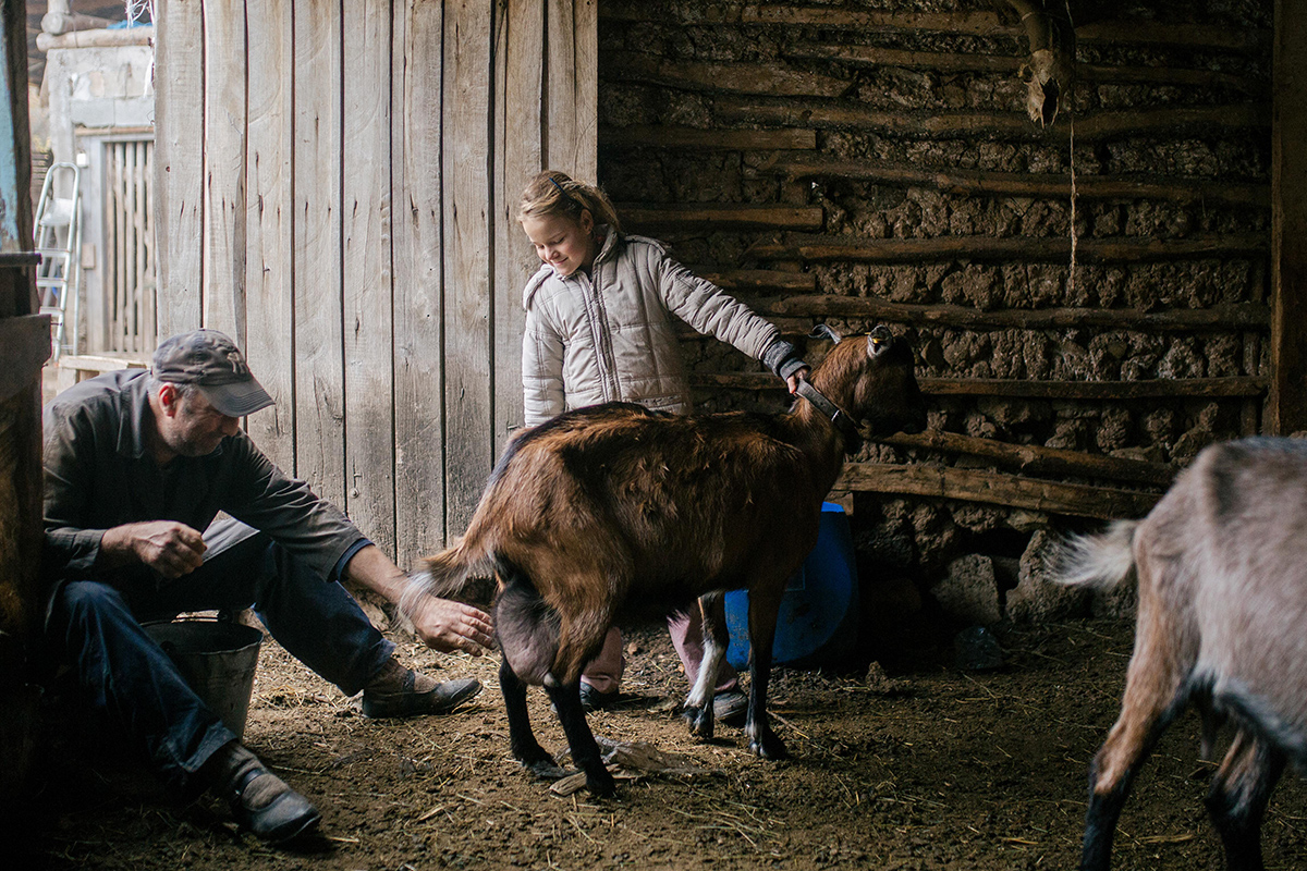 family with their goats