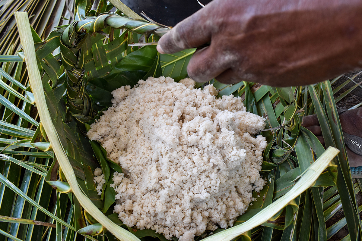 Salt produced through the revival of traditional Fijian salt making is drained through a hand weaved basket. 