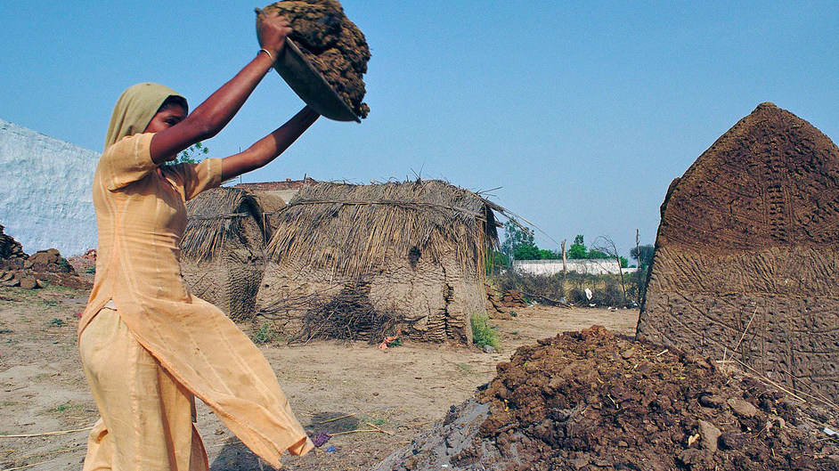 A young woman in India piles cow dung, to be dried for use as fuel for fire.