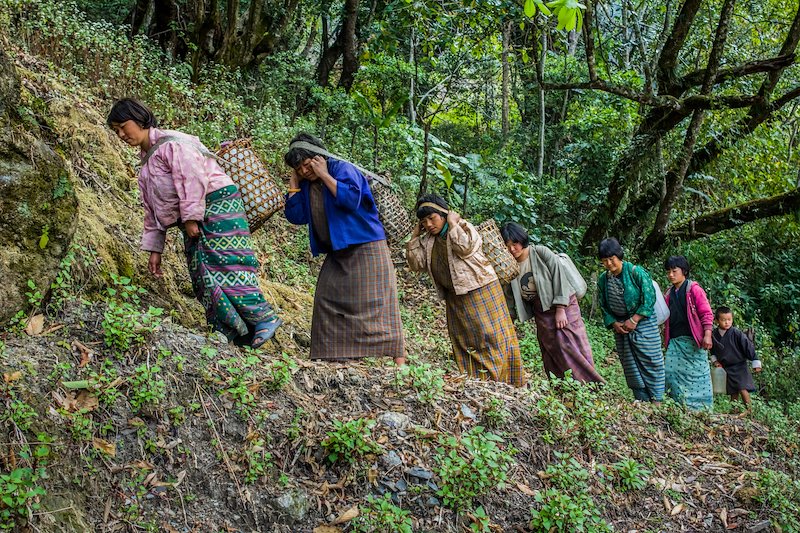 women in the forest, carrying water on their backs