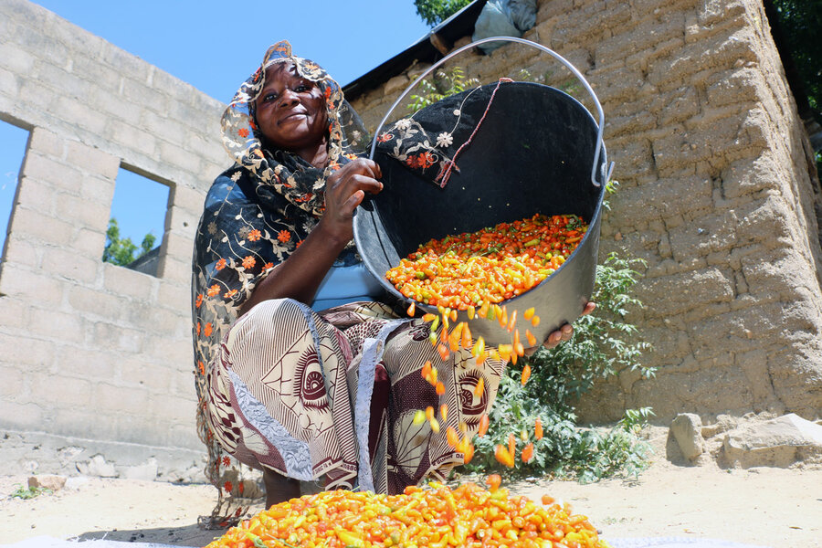woman pouring small peppers out of pail