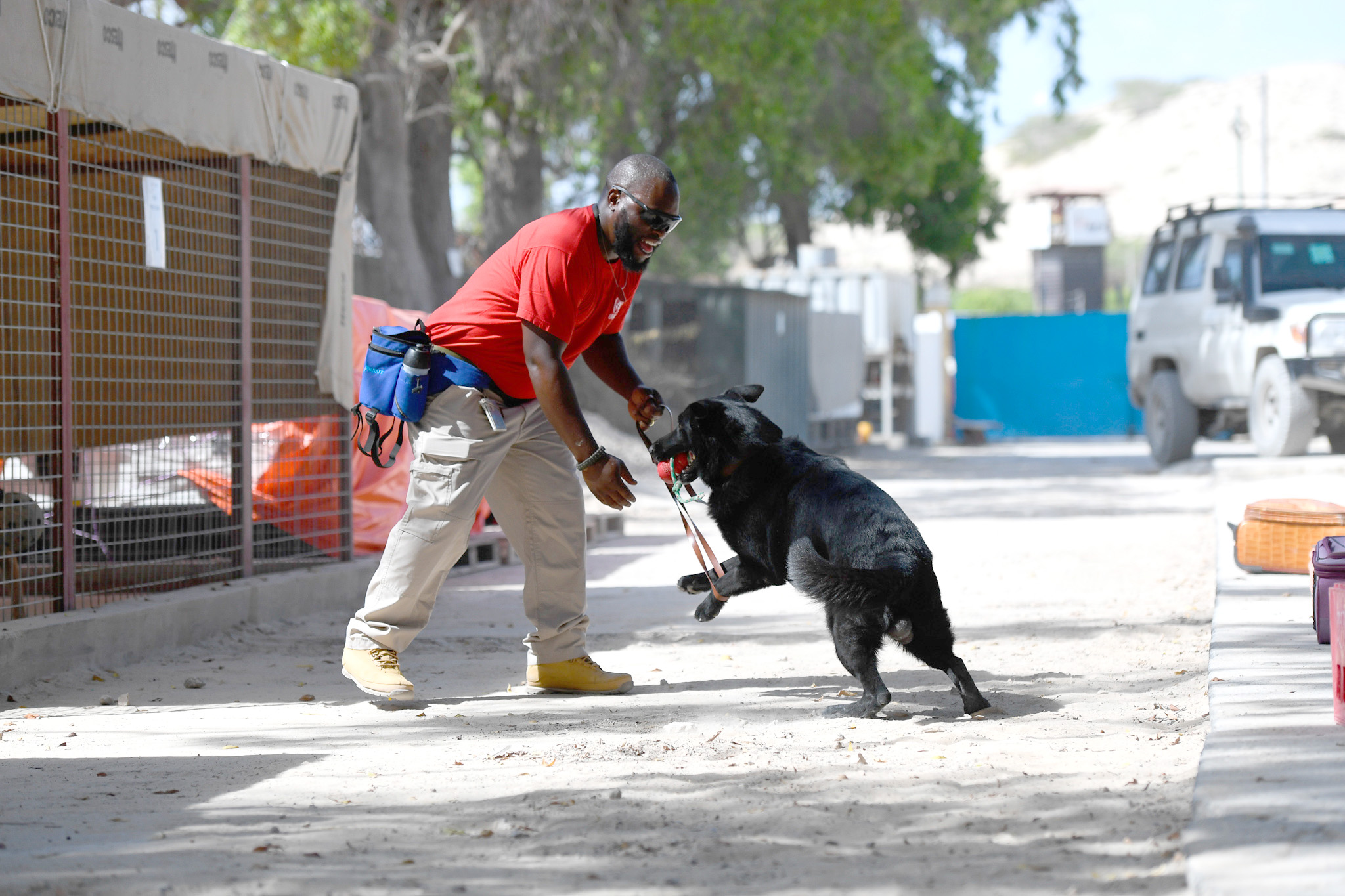 A man laughs as he plays with a dog.