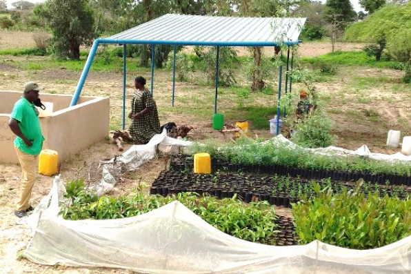 rainwater harvesting system