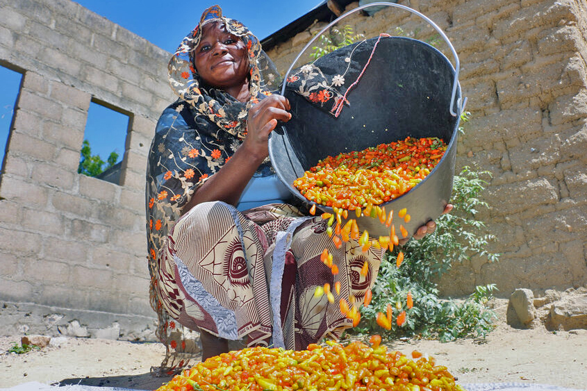 A woman in Cameroon pouring peppers.