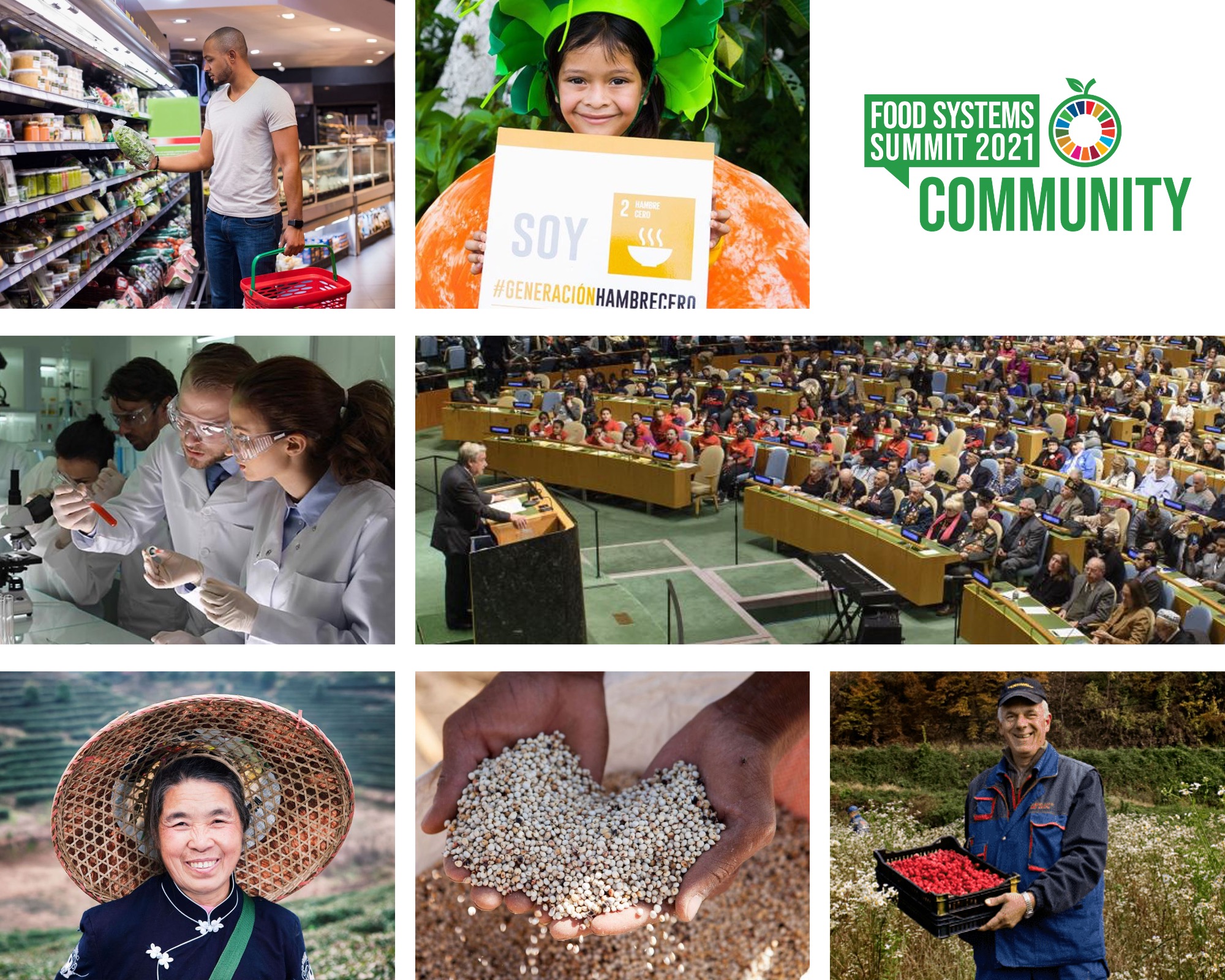 Cover image of Summit Community stakeholders