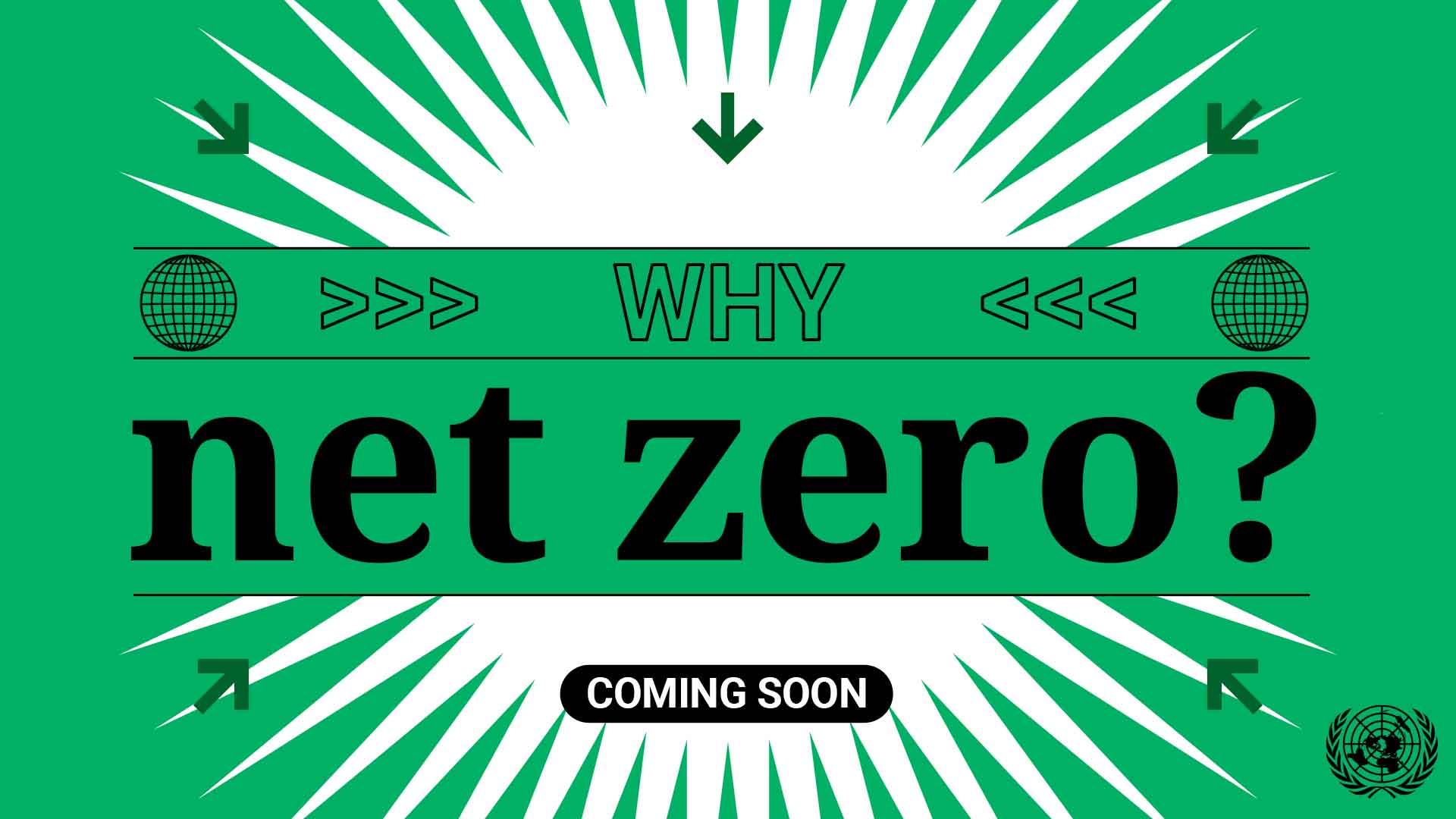 Poster reads: Why net zero?