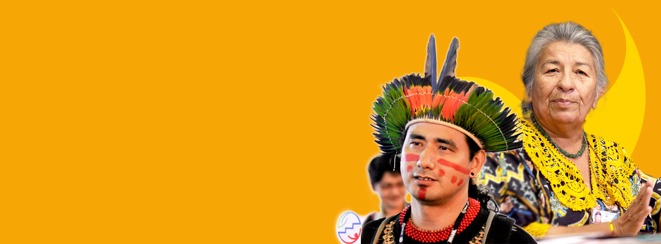 collage of indigenous people and Rio + 20 logo in the background