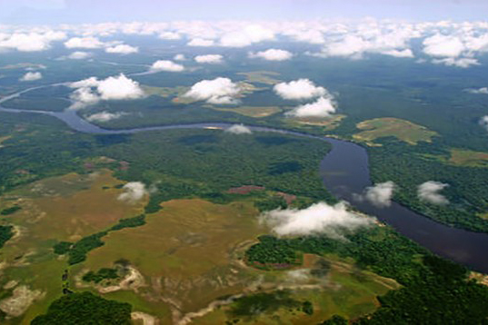 Salonga National Park (Democratic Republic of the Congo)