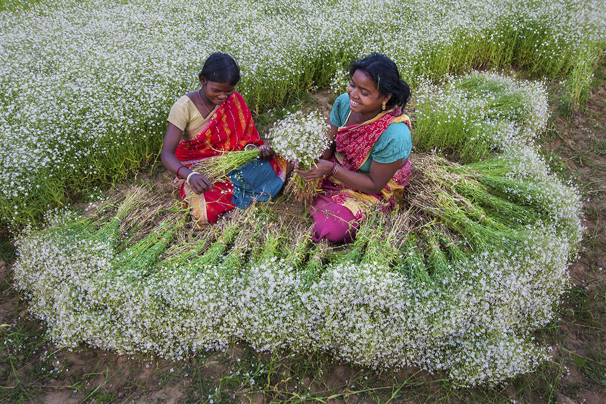 Two girls sit in a flower field making bouquets.