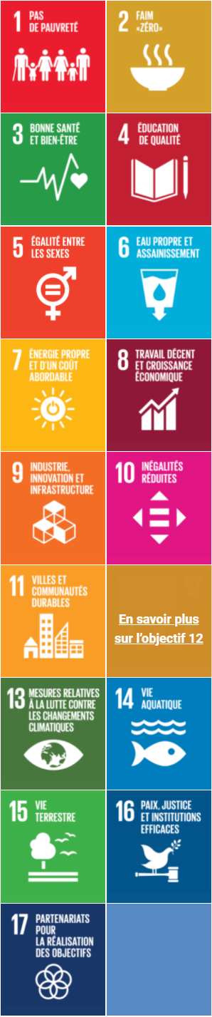 SDG icons