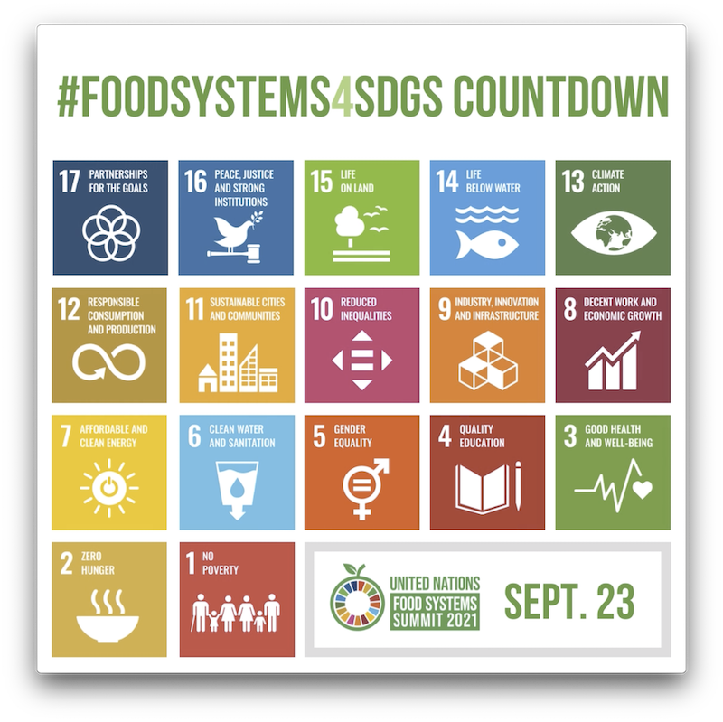 Food Systems for SDGs countdown