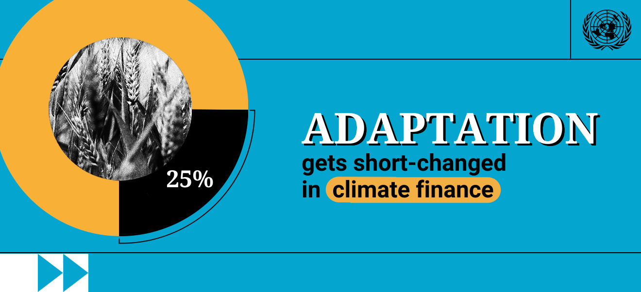 Illustration reads: Adaptation gets short-changed in climate finance