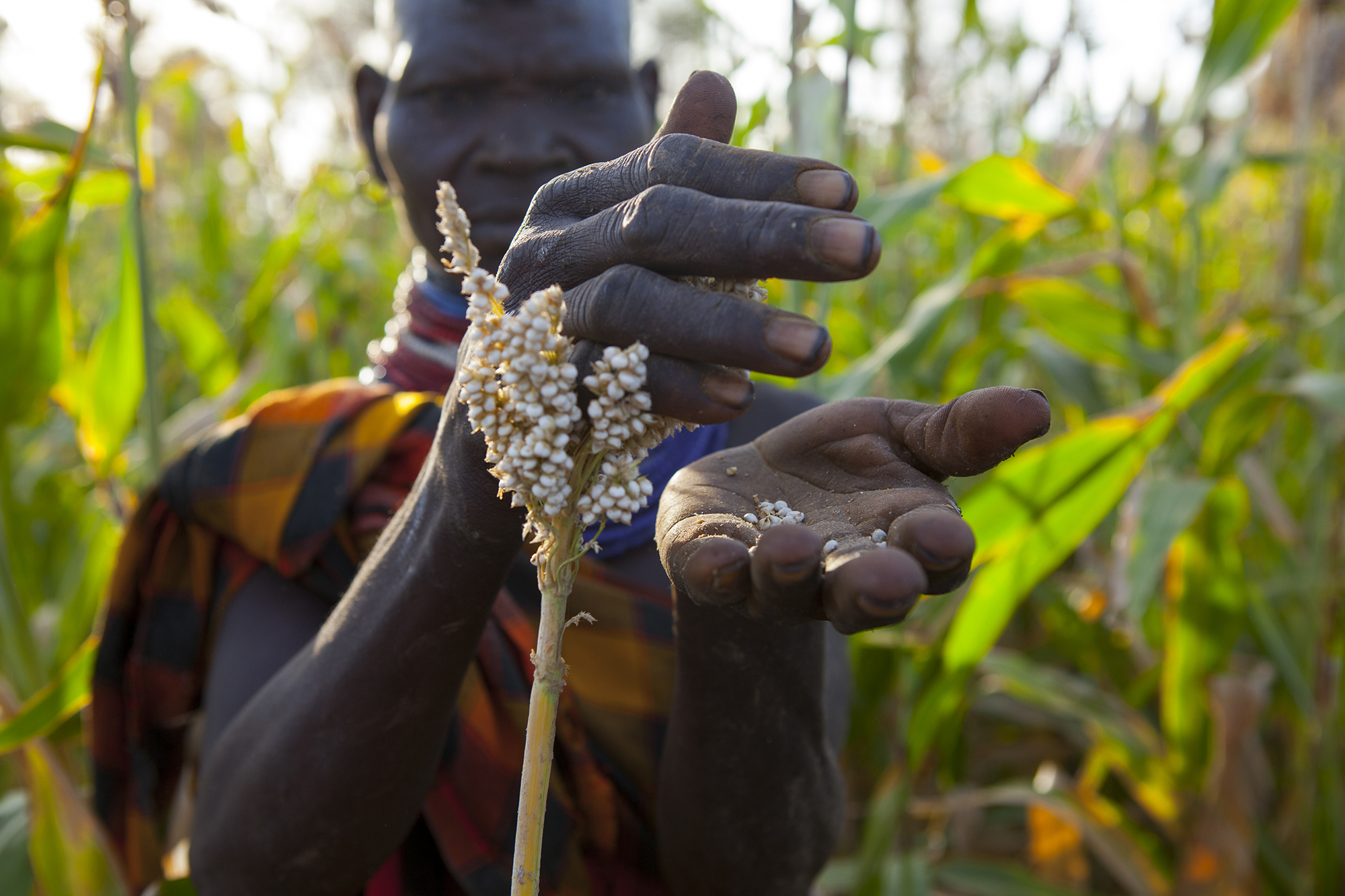 traditional farmer in Kenya