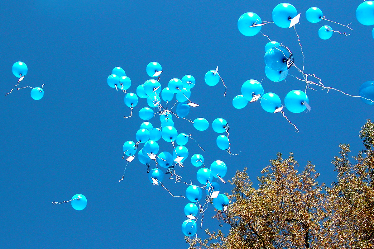 Blue balloons in the sky 