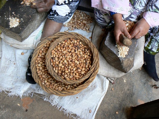 From above, shallow baskets full of argan nuts.