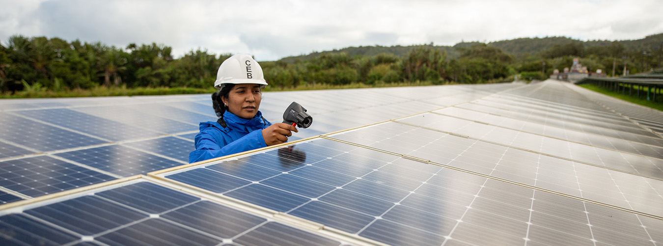 A woman working among solar pannels