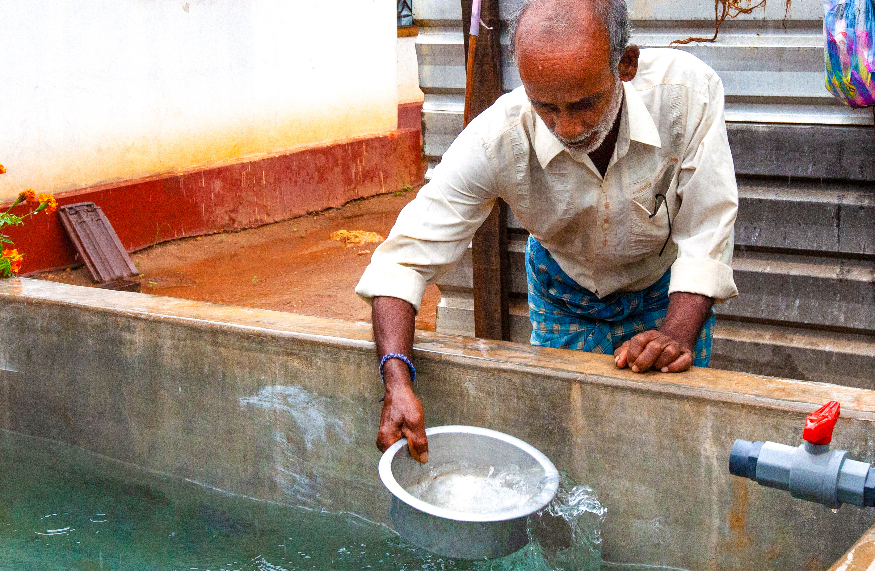 Un hombre se ayuda de un cubo para coger agua de una fuente