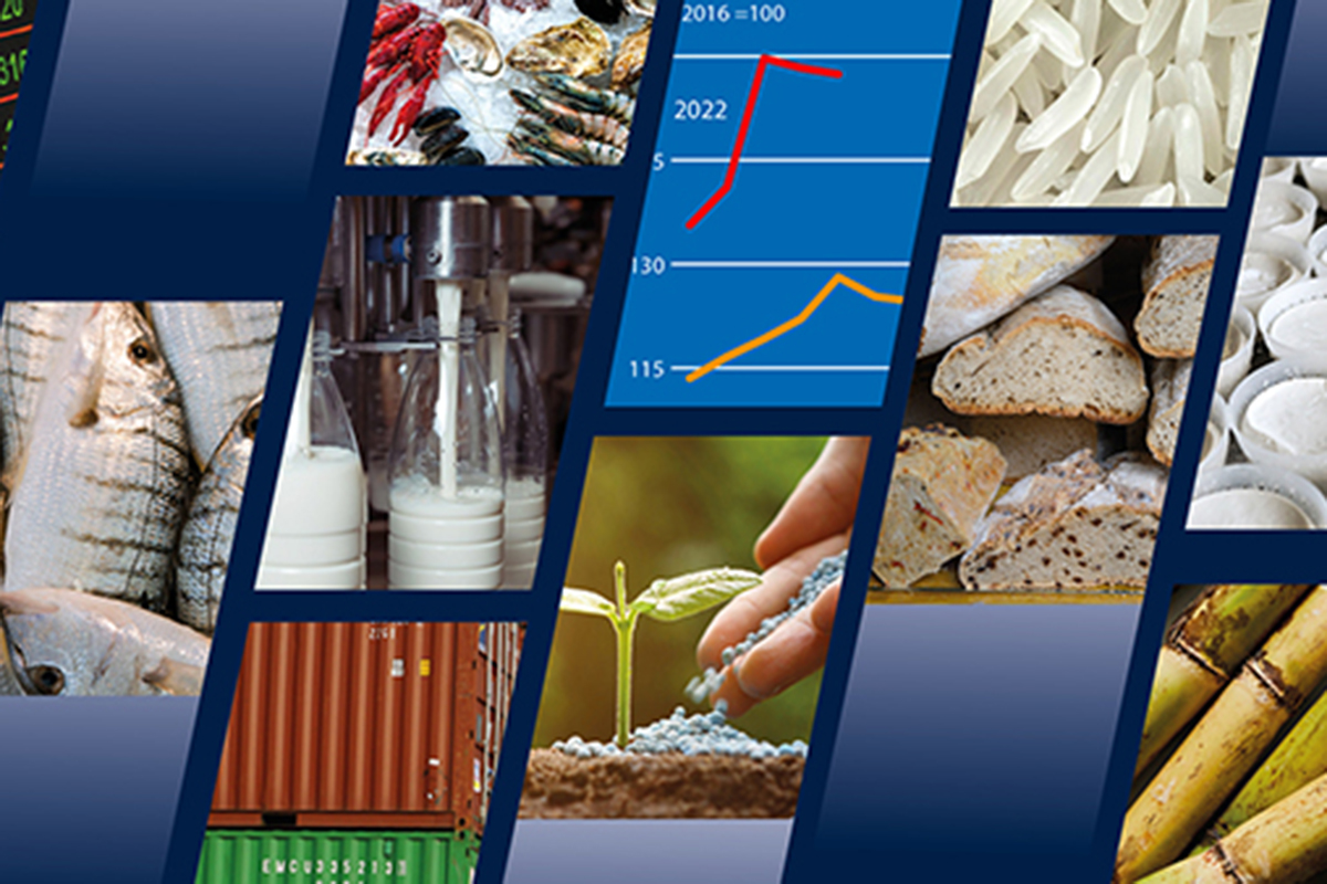 A photo collage of food sources and graphs