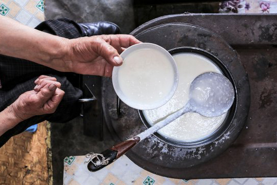 view of hands holding bowl of milk