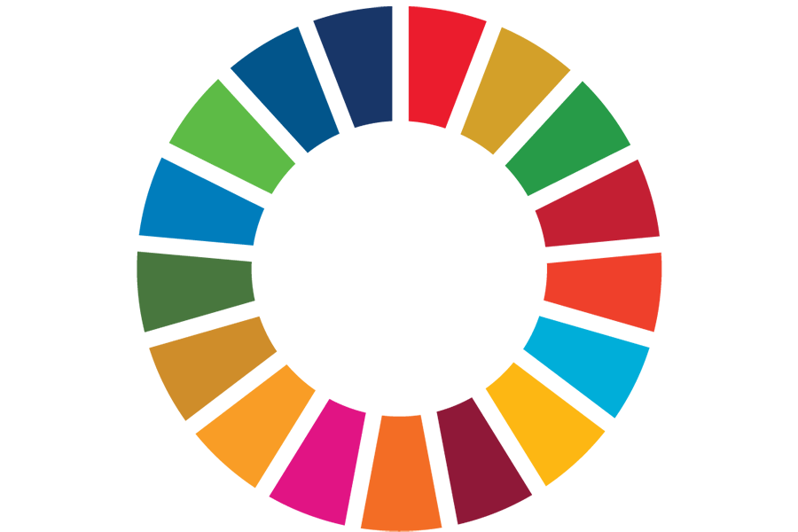 SDG wheel in 17 colours representing the 17 SDGs