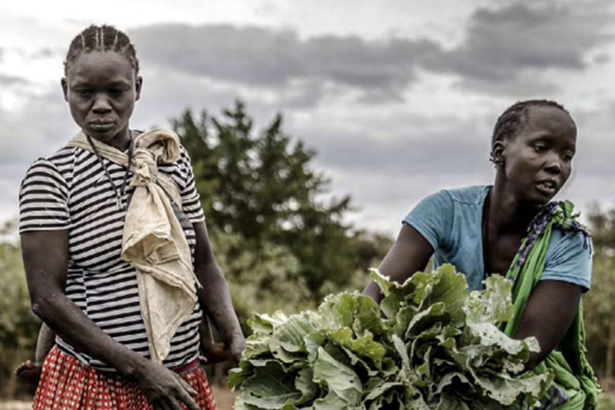 Two women harvest greens.