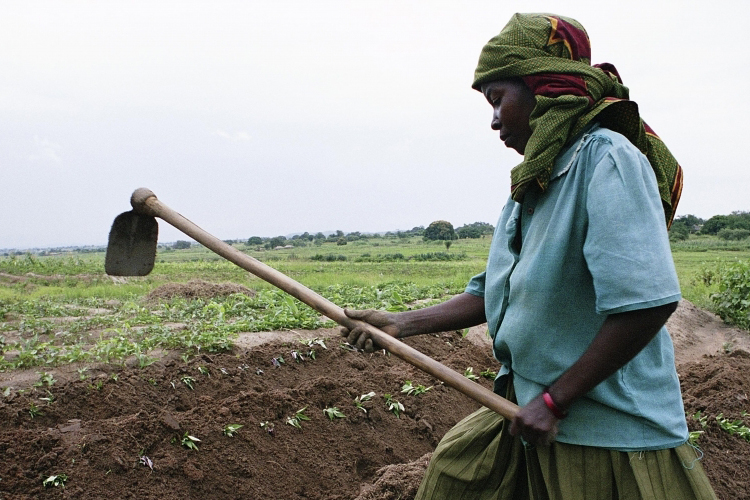 woman farmer