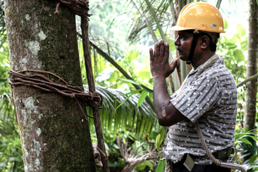 a man wearing a helmet puts his hands together while facing a tree