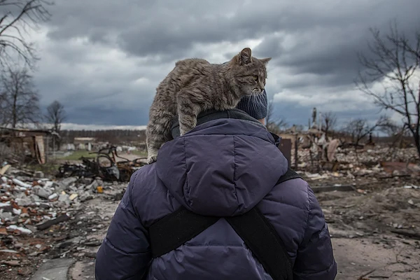 View of a man from the back with a cat on his shoulders as he faces a city in ruins.