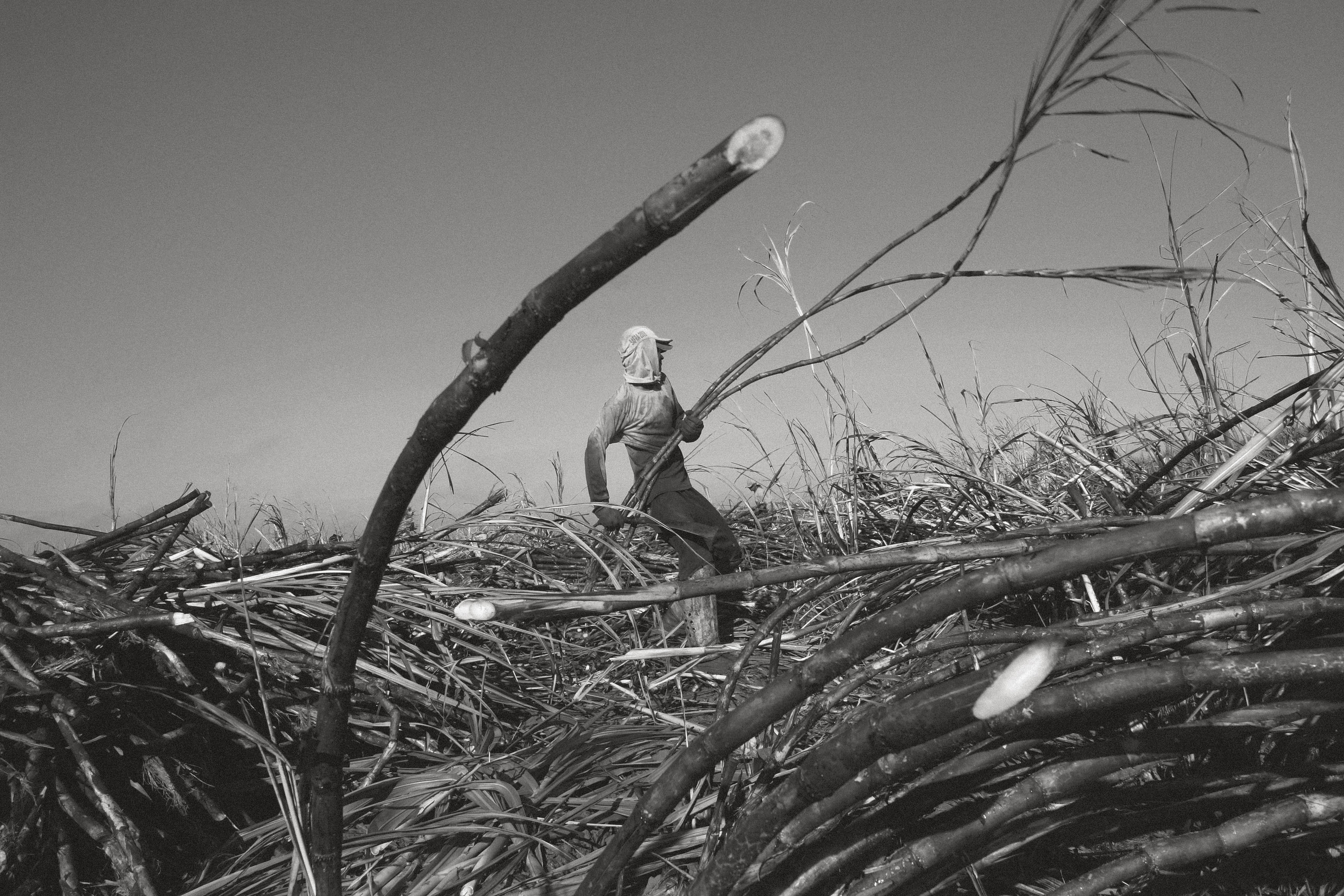 person working in field