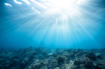 a photo of the bottom of the looking towards the sun