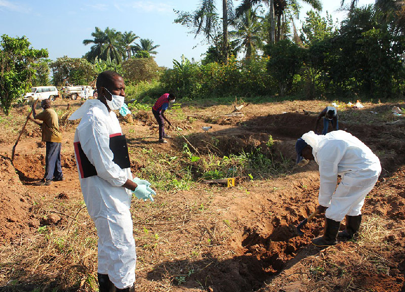 forensic experts at work