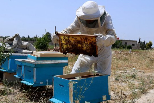 a man in a protective suit handing wooden bee panels.