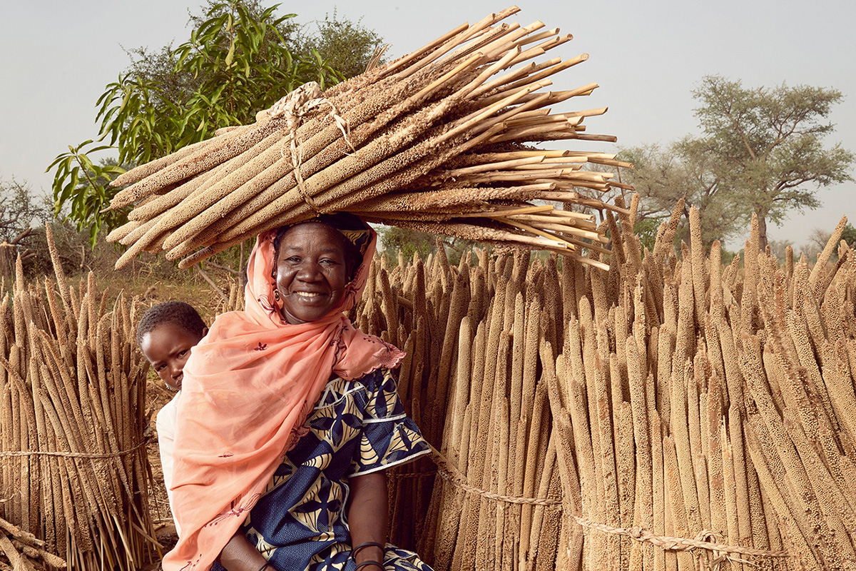 With a bundle of millet on her head, a farmer poses amid millet stalks dried in the sun of Niger. 