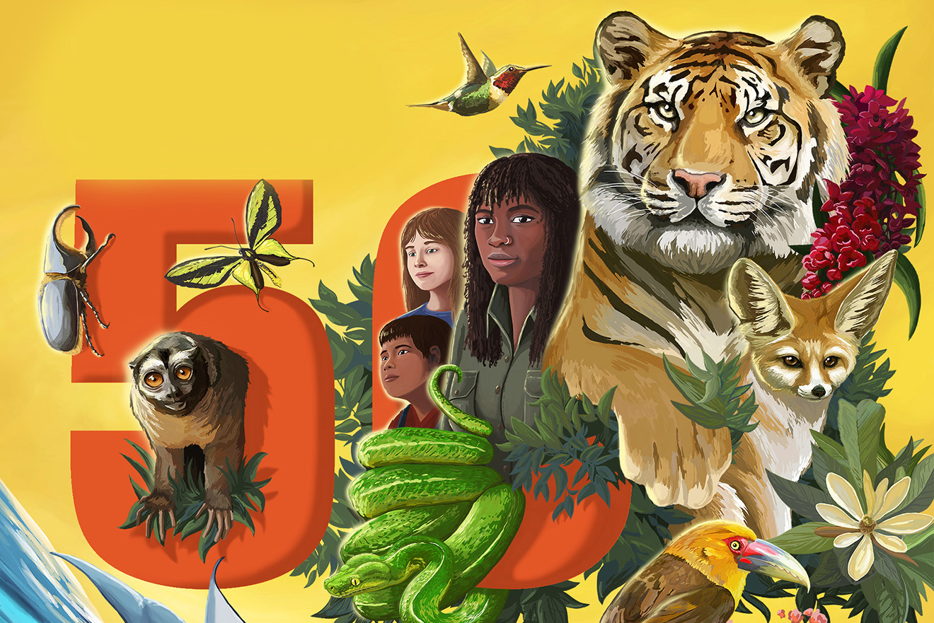 World Wildlife Day poster 2023 composed of humans and different wildlife species of plants and animals