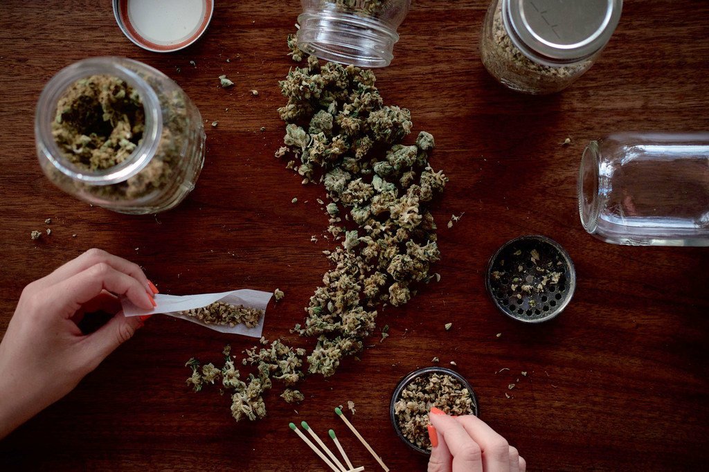 woman's hands preparing cannabis joint