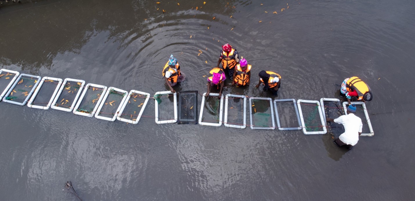 Women  and men in a a water body with tethering cages