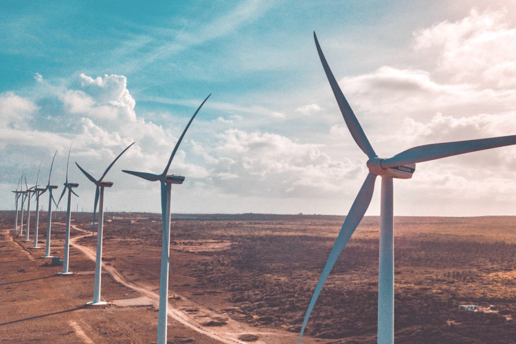 a line of wind turbines