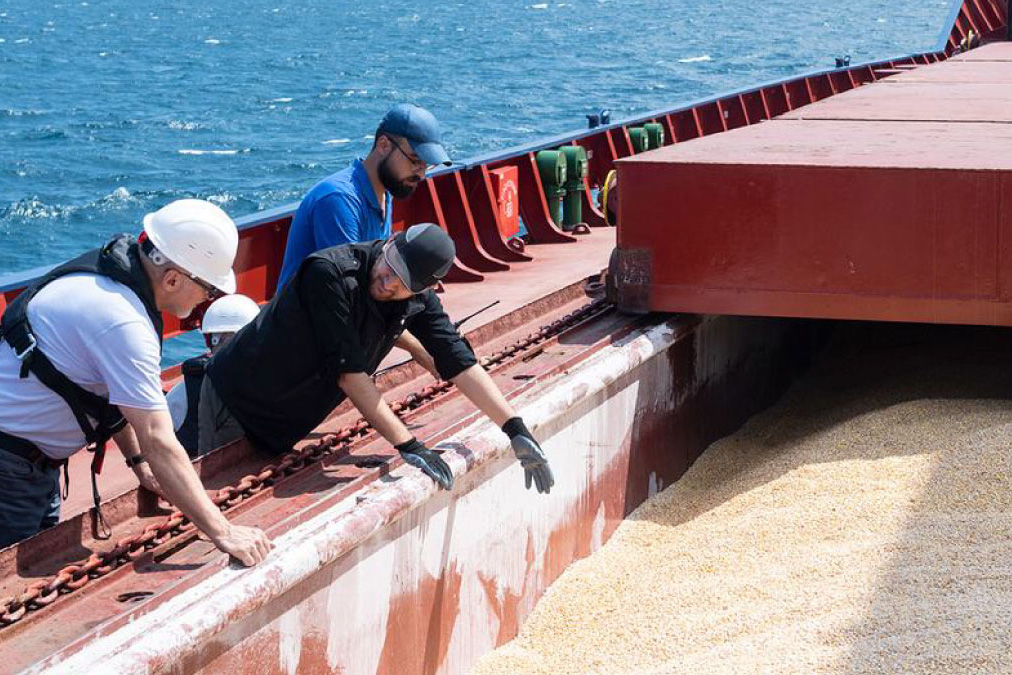 Three people on a ship look down at the grain cargo.