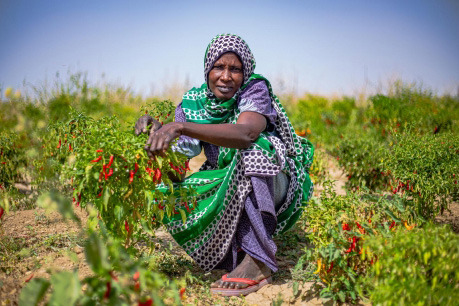 A woman squats in a field showing her crop.