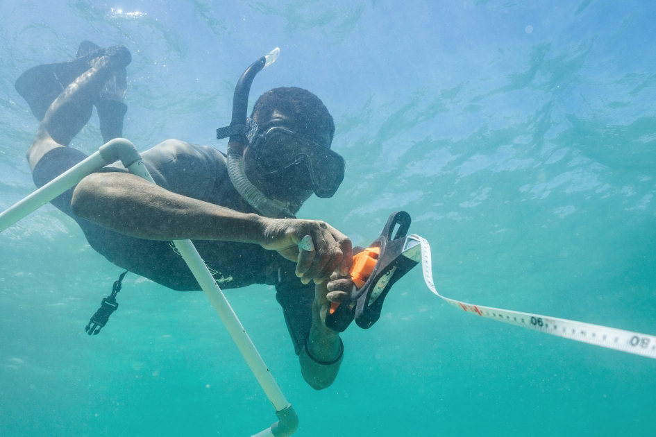 a man underwater with a snorkel, a tube frame and a tape measure