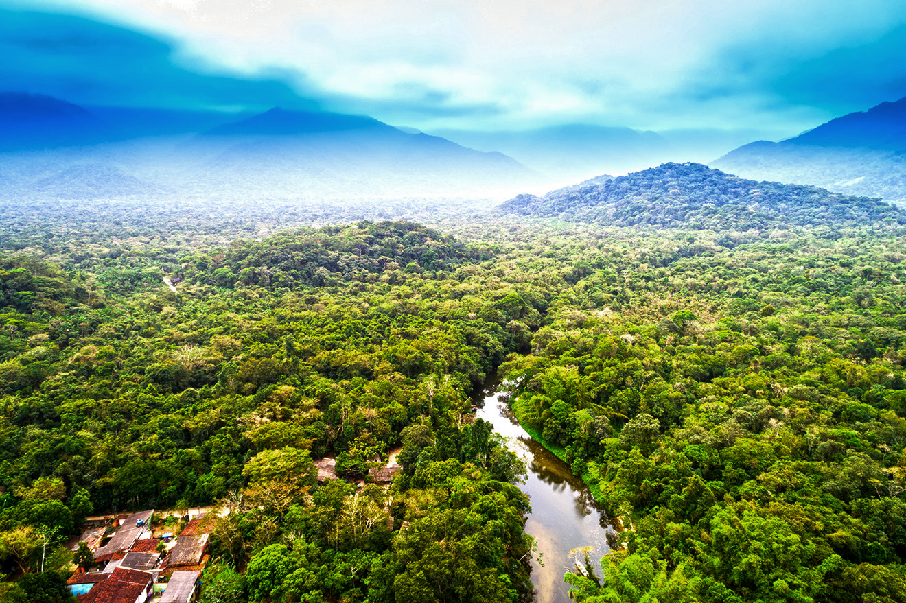 Aerial view of the Amazon Rainforest, South America