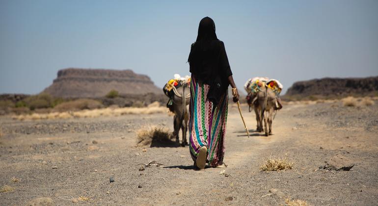 Une femme s’éloignant avec des ânes